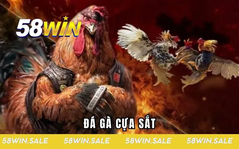 đá gà cựa sắt